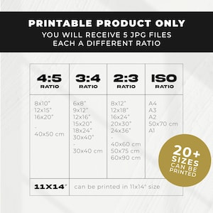May include: A white graphic with text detailing printable product information. It shows different aspect ratios (4:5, 3:4, 2:3, ISO) and print sizes, including 20x25 cm, 30x38 cm, and 40x50 cm. The graphic also states the product can be printed in 28x35 cm.