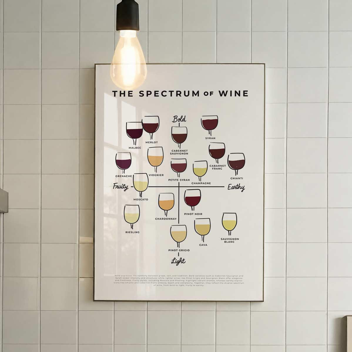 Wine Tasting Guide Poster, Red White Rosé & Champagne Grape Chart