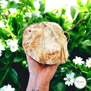 Whole geode Rock crystal Morocco 2.408kg