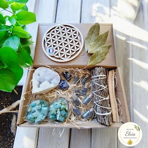 Box "Purification & Rechargement "