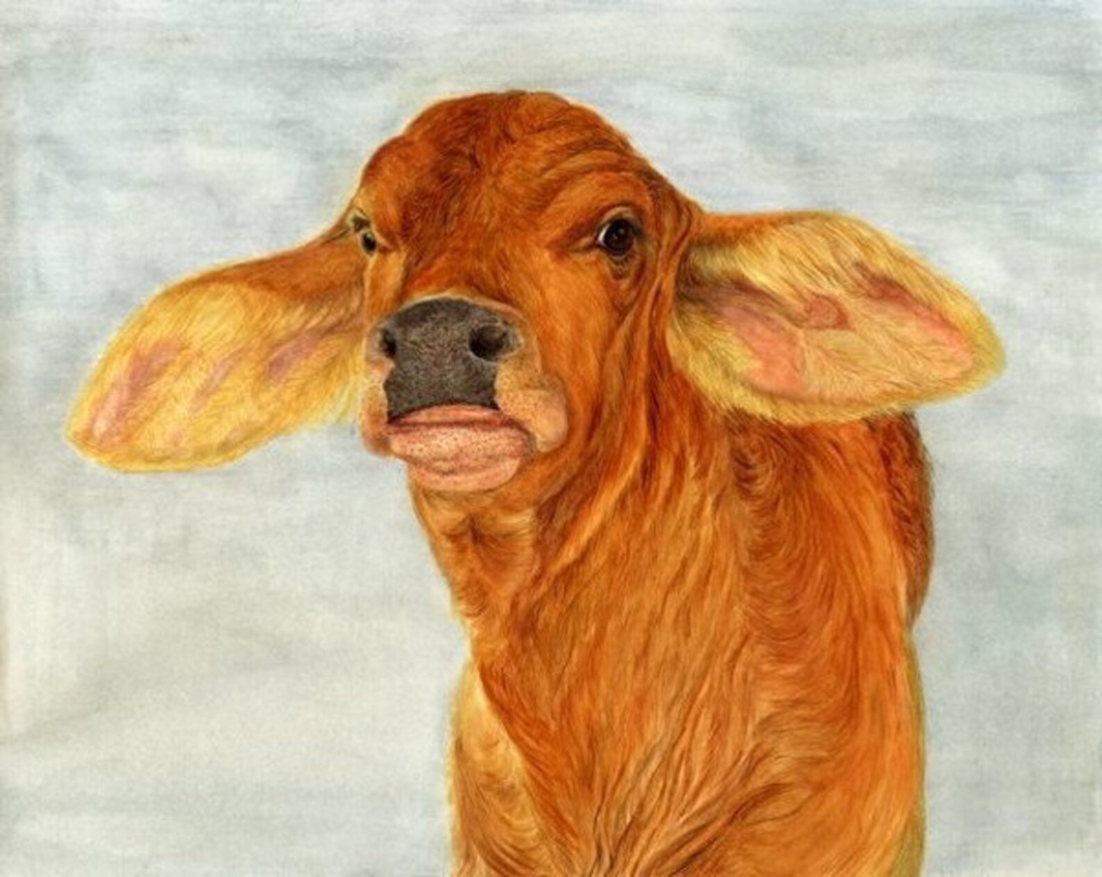 Brahma Calf Watercolor Painting - Etsy