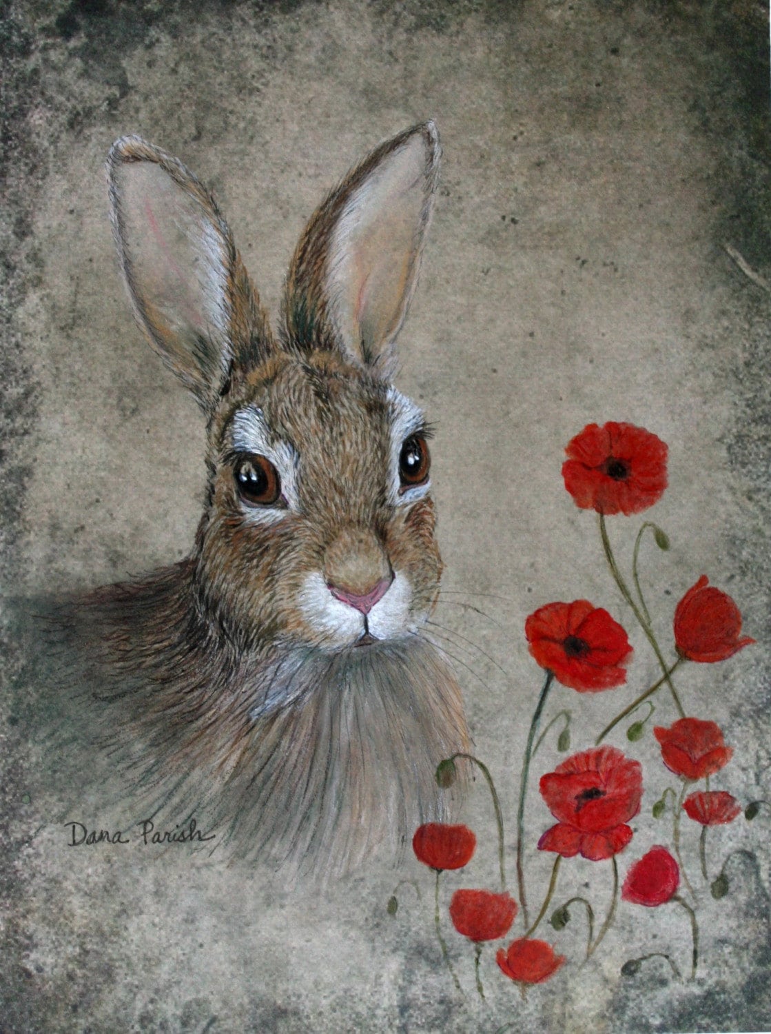 Bunny and Poppies 8x10 Inch Giclee - Etsy