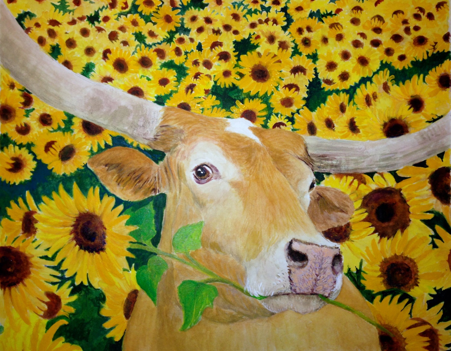 Texas Longhorn with a Sunflower in his mouth