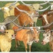 see more listings in the Texas Longhorns section