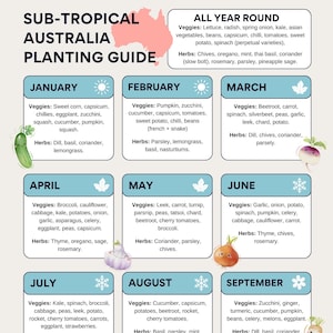 Poster Garten Pflanzanleitung – Subtropisches Klima Australien Gemüse und Kräuter