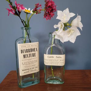 Peut inclure: Deux flacons d'apothicaire en verre transparent avec des corps rectangulaires et des &eacute;tiquettes. Le flacon de gauche est &eacute;tiquet&eacute; Diarrhoea Mixture et contient des fleurs roses et blanches. Celui de droite porte l'&eacute;tiquette Cattle Salts.