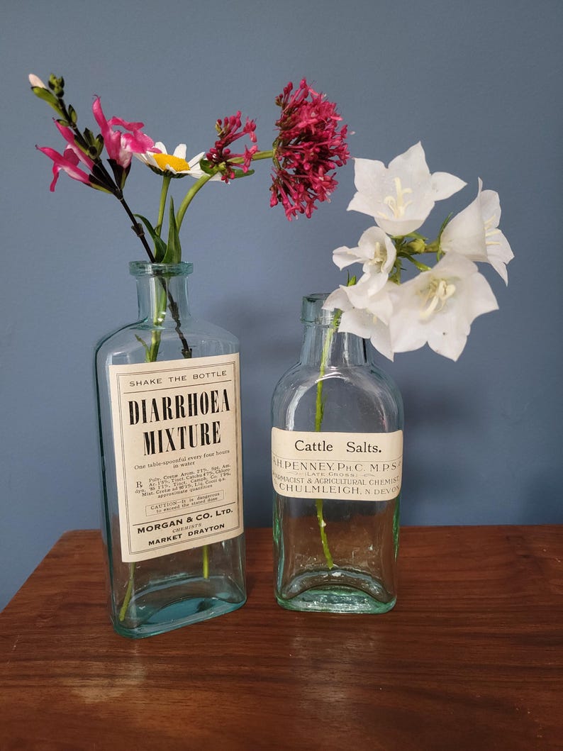 Peut inclure: Deux flacons d'apothicaire en verre transparent avec des corps rectangulaires et des &eacute;tiquettes. Le flacon de gauche est &eacute;tiquet&eacute; Diarrhoea Mixture et contient des fleurs roses et blanches. Celui de droite porte l'&eacute;tiquette Cattle Salts.