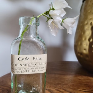 Peut inclure: Une bouteille d'apothicaire en verre transparent avec une base rectangulaire et un goulot &eacute;troit. Une &eacute;tiquette en papier blanc indique Cattle Salts, A.H. Penney, Ph.C. M.P.S., Late Gross, Pharmacist & Agricultural Chemist, Chulmleigh, N. Devon.