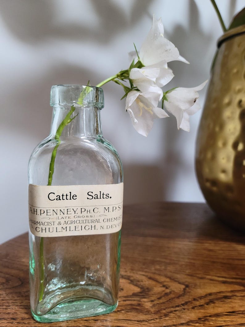 Peut inclure: Une bouteille d'apothicaire en verre transparent avec une base rectangulaire et un goulot &eacute;troit. Une &eacute;tiquette en papier blanc indique Cattle Salts, A.H. Penney, Ph.C. M.P.S., Late Gross, Pharmacist & Agricultural Chemist, Chulmleigh, N. Devon.