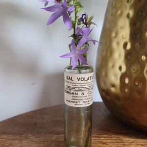 Peut inclure: Une bouteille d'apothicaire en verre transparent avec une &eacute;tiquette en papier blanc portant l'inscription SAL VOLATILE, MORGAN & CO. et MARKET DRAYTON. La bouteille contient plusieurs fleurs violettes en forme de cloche.