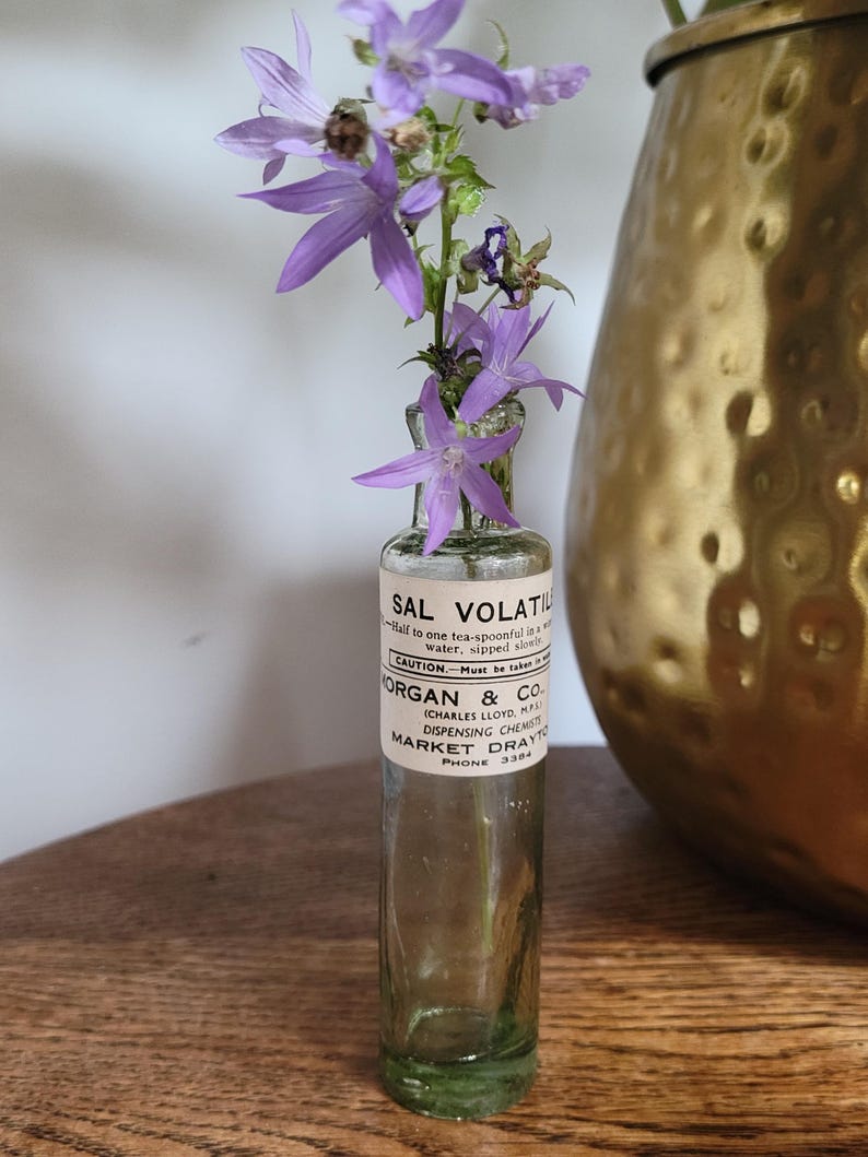 Peut inclure: Une bouteille d'apothicaire en verre transparent avec une &eacute;tiquette en papier blanc portant l'inscription SAL VOLATILE, MORGAN & CO. et MARKET DRAYTON. La bouteille contient plusieurs fleurs violettes en forme de cloche.