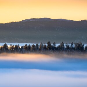 Abendnebel