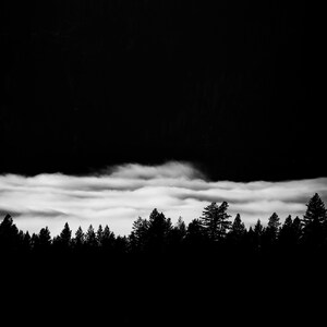 Morgennebel