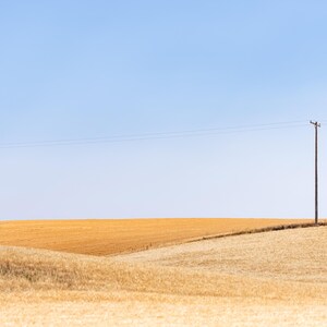 Palouse, Washington