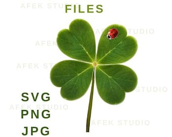 Shamrock SVG: St Patricks Day Clover, Irish PNG (Digital Files)