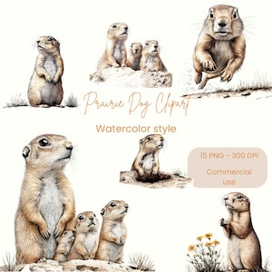 Prairie Dog Clipart | Prairie Dog Art | Prairie dog PNG | Zoo Animal Graphics | Baby Animals PNG | Watercolor Dog | Prairie Dog Gift | PNG