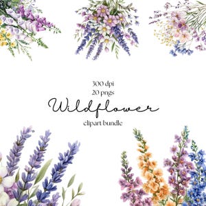 Wildblumen Clipart | Wildblumen Blumensträuße | Wilde Blumen PNG | Mohnblume Clipart | Wildes Blumen PNG | Hochzeit einladen Karte | Blumen Pastell einladen