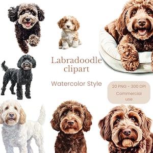 Labrador Clipart | Labradoodle PNG | Aquarell Labradoodle | Labradoodles Liebhaber | Hund Clipart Bundle | Hunde Mama Cliparts | Hundeportrait