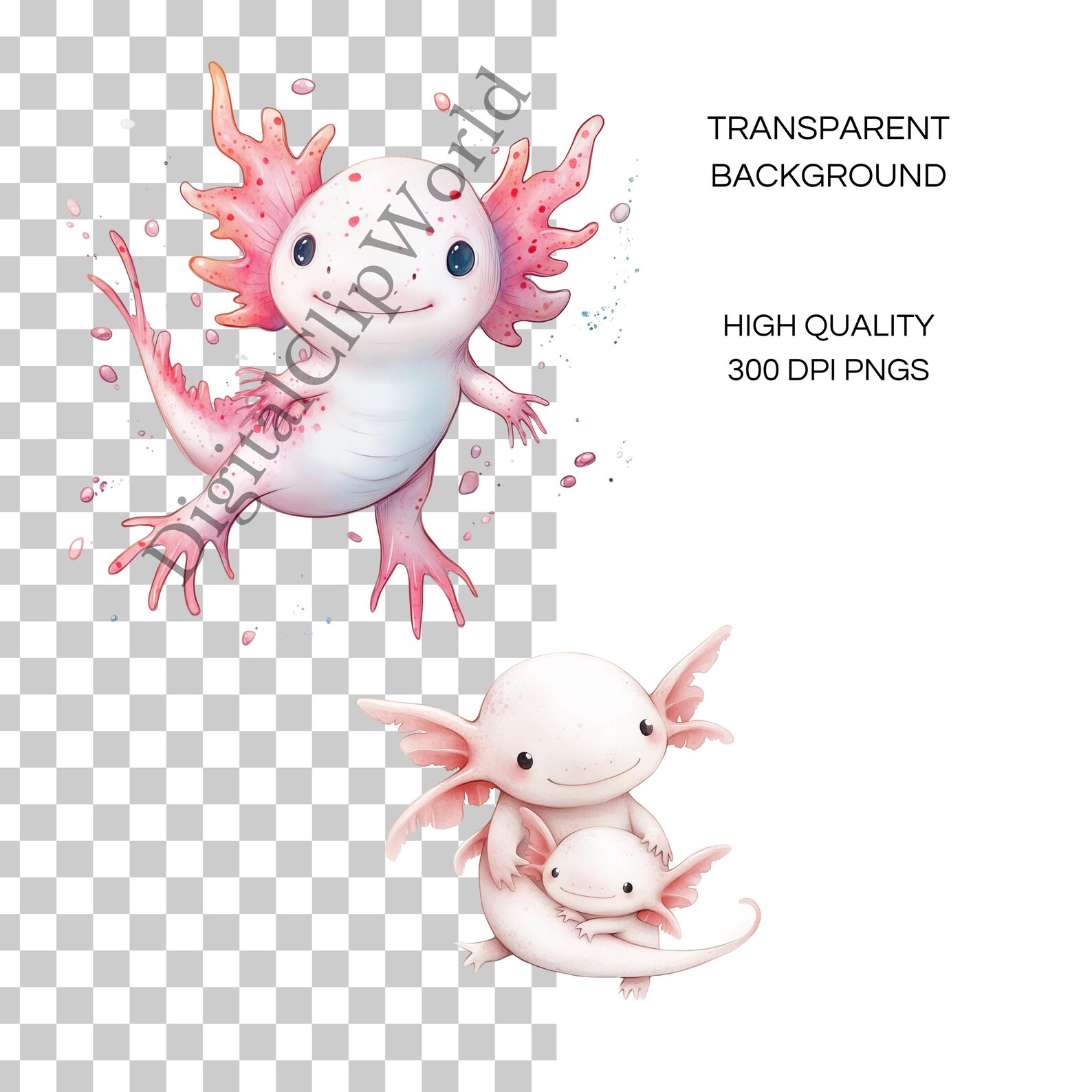 Cute Axolotl Clipart | Watercolor Axolotl | Axolotl PNG | Kawaii ...