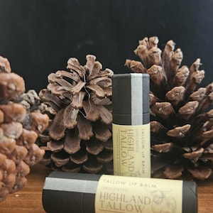 May include: Two black and white lip balm tubes with the text "Highland Tallow" and "Unscented" are displayed. The tubes are set against a backdrop of pine cones on a wooden surface.