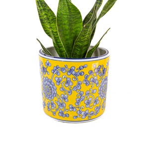 May include: A snake plant with long, pointed, variegated green leaves potted in a cylindrical ceramic planter. The planter features a bright yellow background decorated with a repeating blue and white floral vine pattern and a blue rim.