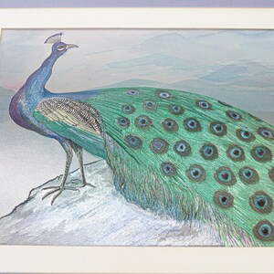 May include: A framed print featuring a peacock with vibrant blue and green plumage, standing on a light-colored rock. The bird displays a long, detailed tail with distinct eye-shaped patterns. The background shows a soft, muted landscape.