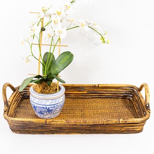 May include: A rectangular woven bamboo tray with curved handles. A blue and white ceramic pot with a plant sits on the tray. White orchid flowers are in the background.