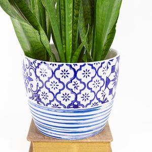 May include: A snake plant with long, pointed green leaves potted in a ceramic planter. The planter features a white base with a blue geometric pattern on the upper half and blue horizontal stripes on the lower half, resting on a tan book.