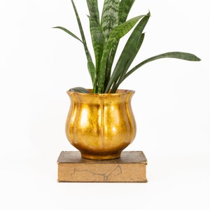 May include: A metallic gold, tulip-shaped planter with vertical ridges containing a green and grey variegated snake plant. The planter is positioned on top of a rectangular, weathered brown vintage book with visible spine details.
