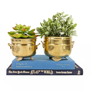 May include: Two polished brass planters with small side handles and three ornate feet, each containing a green plant. The planters rest on two stacked books, one blue titled Origins of Impressionism and one dark blue titled The New York Times Atlas of the World.