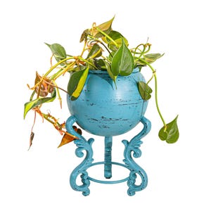 May include: A round, distressed turquoise planter sits on a matching ornate metal stand with three curved legs. A trailing philodendron plant with variegated green and yellow heart-shaped leaves spills over the edges of the bowl-shaped container.