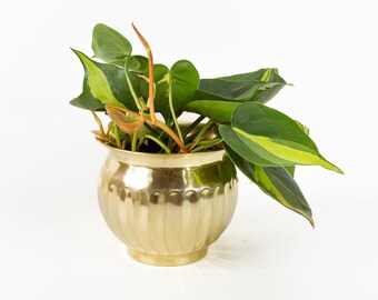 Vintage Brass Ribbed Planter Cachepot 5 Inch