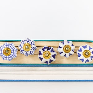 May include: A stack of two books with blue covers, topped with five white and blue floral ceramic knobs. The knobs have gold-colored centers. The top book has a teal spine and the pages are open.