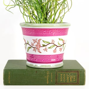 May include: A decorative ceramic flower pot with a pink and white floral design, filled with green, curly plant stems. The pot sits on a vintage green book titled "The Music Lover's Handbook".