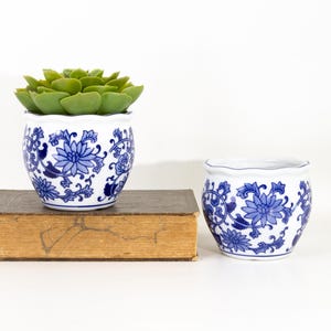 May include: Two small, white ceramic pots with blue floral designs. One pot contains a green succulent plant. The pots are on a vintage book. The pots are approximately 4 inches in diameter.