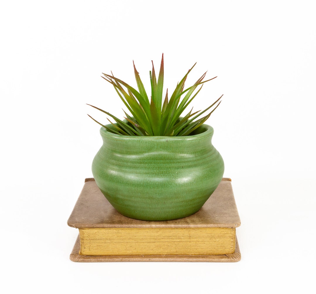 Curated visual reference: Gallery Detail: Green Ceramic Studio Pottery Succulent Planter Pot