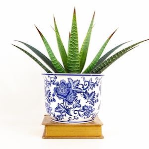 Chinoiserie Planter Pot with Paisley Motif- Blue White - NO DRAINAGE HOLE