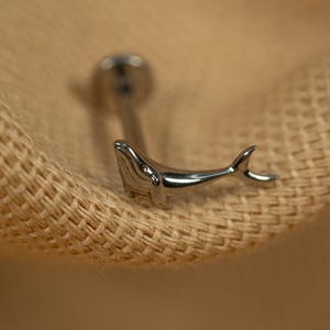 Könnte beinhalten: Silberner Körperschmuck in Form eines Wals. Der Wal blickt nach links. Der Piercing befindet sich auf einem braunen Stoffhintergrund.