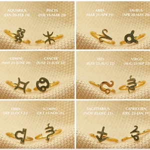 20G Zodiac Sign Nose Ring • Zodiac Nose Hoop • Nose Piercing • Nostril Jewelry • Zodiac Sign • Thin Nose Ring • Gold • Silver • Black