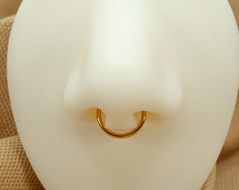 16G D Shape Hoop • Titanium Clicker Hoop • Half Circle Septum Ring
