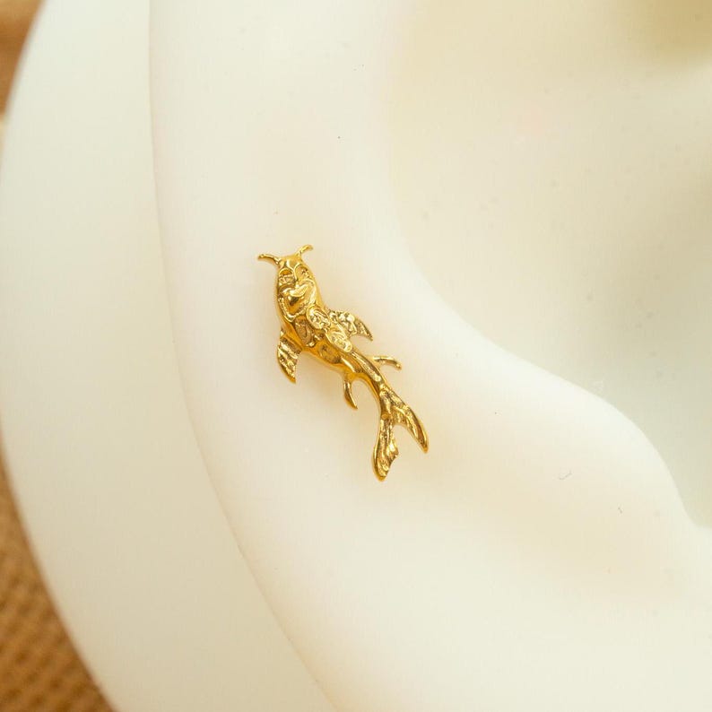 Op de afbeelding: Een gouden vis-oorring met een gedetailleerd ontwerp. De oorring wordt getoond op een witte achtergrond.