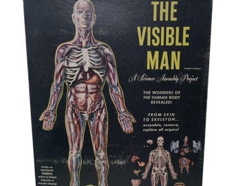 Vintage 1970s Revell the Visible Man Anatomy Model Kit