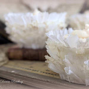 Creme Fraiche Ruffles. Ruffled Crepe Cupcake Wrappers in White and Cream image 4