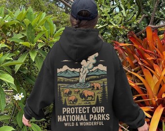 Puede incluir: Sudadera con capucha negra con un gráfico en la espalda que representa un paisaje con montañas, bisontes y un géiser. El texto dice "PROTECT OUR NATIONAL PARKS WILD & WONDERFUL". El diseño es en tonos verdes, marrones y azules.