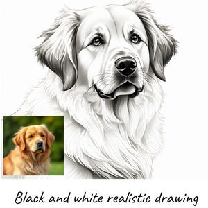 Risultato 8K - Disegno realistico personalizzato di un animale domestico, Immagine personalizzata di un animale domestico, Disegno personalizzato di un animale domestico, Disegno a matita di un animale domestico, Disegno da foto, Tatuaggio di un animale domestico, ...
