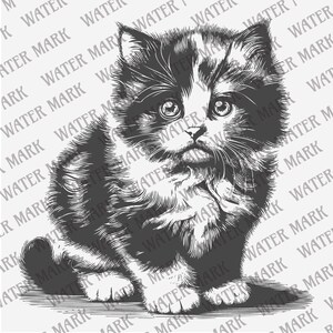 May include: A black and white line drawing of a kitten sitting on a surface. The kitten has large eyes and a fluffy tail.