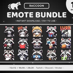 Waschbär Twitch Emote Bundle 15x - Waschbär Pack Discord Emote, Süß, Bezaubernd, Lustig, Tier, Gaming Sticker, Decke, Hut