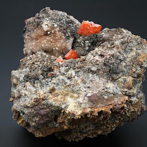Wulfenite Crystal Specimen – Red Cloud Mine Arizona – Collector’s Display Piece