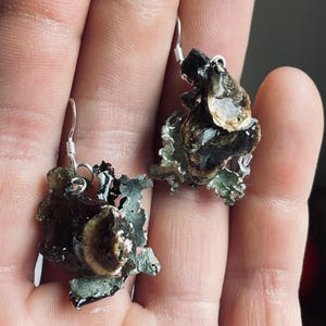 May include: A pair of distinctive earrings with a natural, organic design. The earrings have silver hooks and are made from dark brown, beige, and green textured materials, giving them a unique, earthy look. The earrings are designed to be worn.