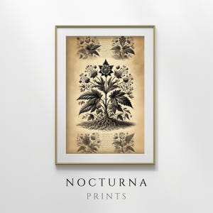 Antique Botanical Illustration Print – Vintage Plant Wall Art for Rustic and Elegant Home Decor